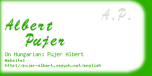 albert pujer business card